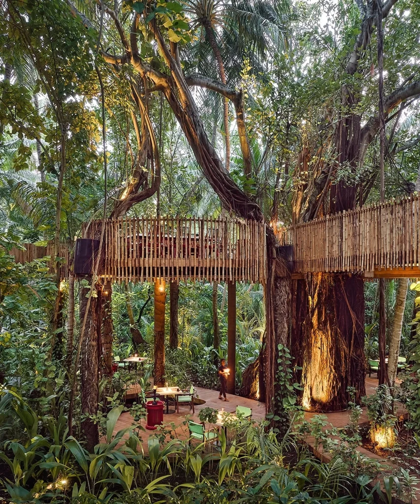 Nest Tree Top, Drew Anderson of TOPO Design, fot. Leina Sevele